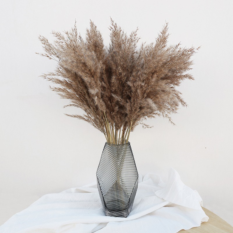 Florist Supply Vases - 10 Buah Bunga Kering Pampas Grass